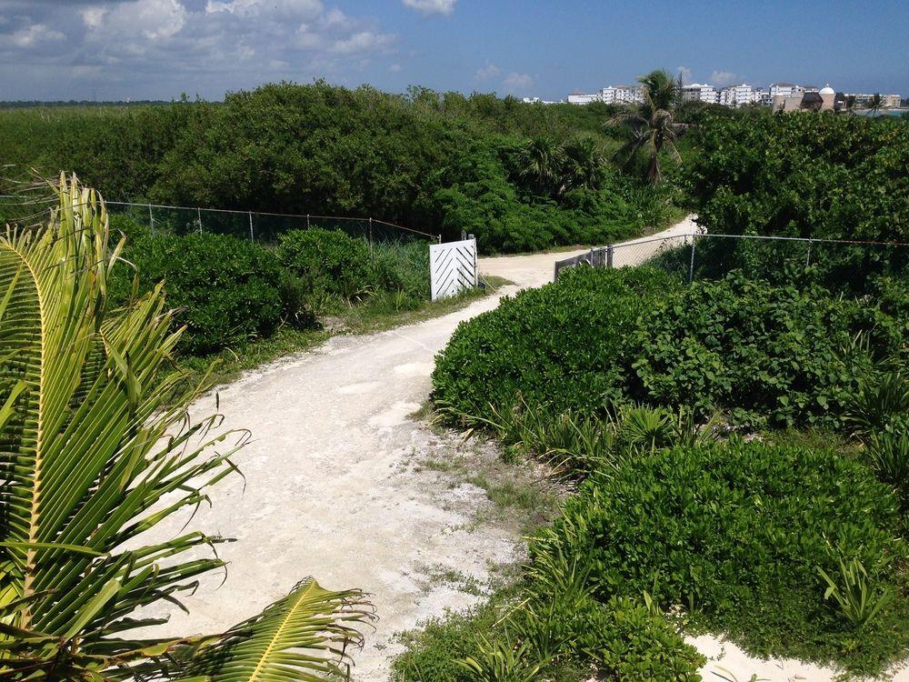 Casa Amor Pto Morelos Puerto Morelos Exterior photo